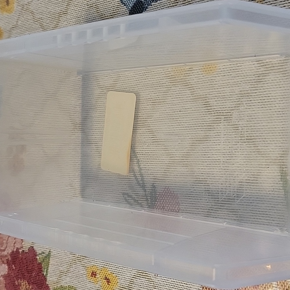 Clear Storage Bin - Picture 3 of 4